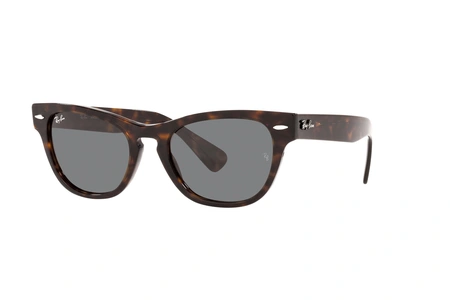 rayban, RB 2201, sievietēm, stūrains, plastika
