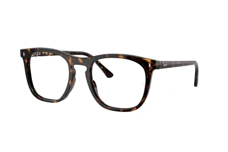 rayban, RB 2210V, мужские, oвал / круглый, пластик