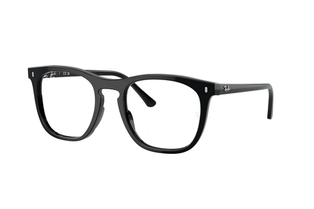 rayban, RB 2210V, мужские, oвал / круглый, пластик