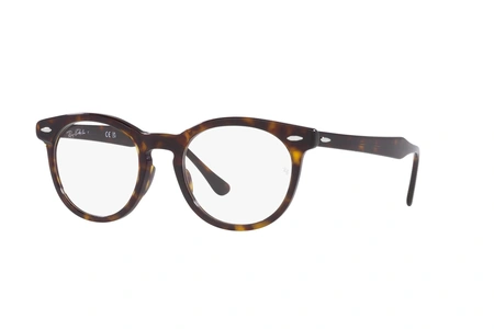 rayban, RB 5598, мужские, oвал / круглый, пластик