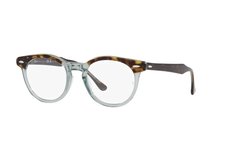 rayban, RB 5598, мужские, oвал / круглый, пластик