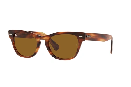 rayban, RB 2201, sievietēm, stūrains, plastika