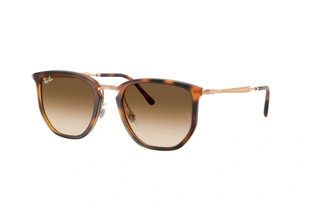 rayban, RB 4451, мужские, oвал / круглый, пластик
