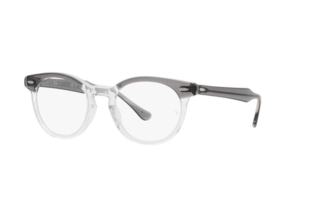 rayban, RB 5598, мужские, oвал / круглый, пластик