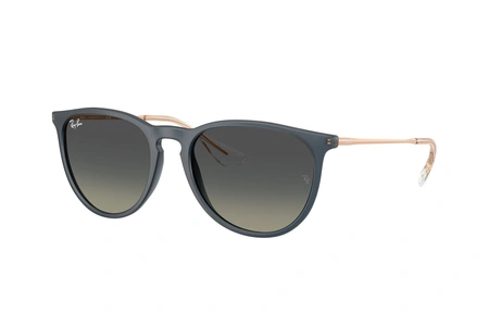 rayban, RB 4171, мужские, oвал / круглый, пластик