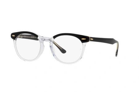 rayban, RB 5598, мужские, oвал / круглый, пластик