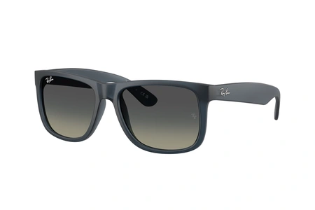 rayban, RB 4165, мужские, oвал / круглый, пластик