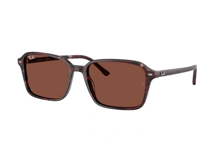 rayban, RB 2231, sievietēm, plastika
