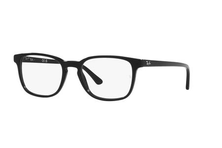 rayban, RB 5418, мужские, oвал / круглый, пластик